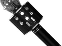 Microphone WSTER WS-858 Sans Fil Bluetooth et Haut-Parleur Hi-Fi Karaoké